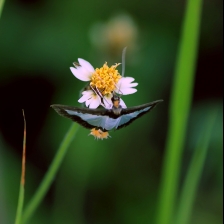 Landing by wahyudi widi